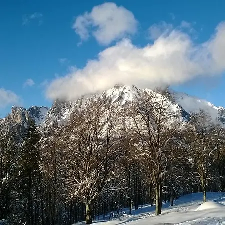 Affittacamere Le Grigne Penzion Ballabio